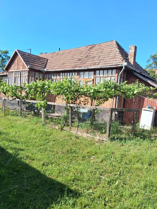 Vand casa la tara