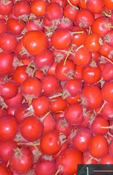 Шиповник+боярышник (шипярка)