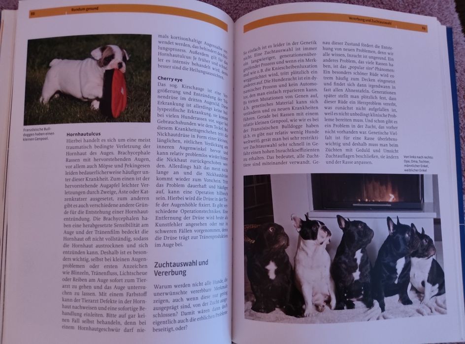 Френски булдог-книга ръководство за породата