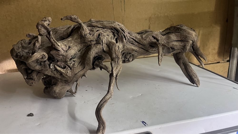 Караяга. Для Акварюма