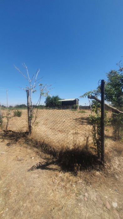 Dachni uchastka sotiladi 6 sotx