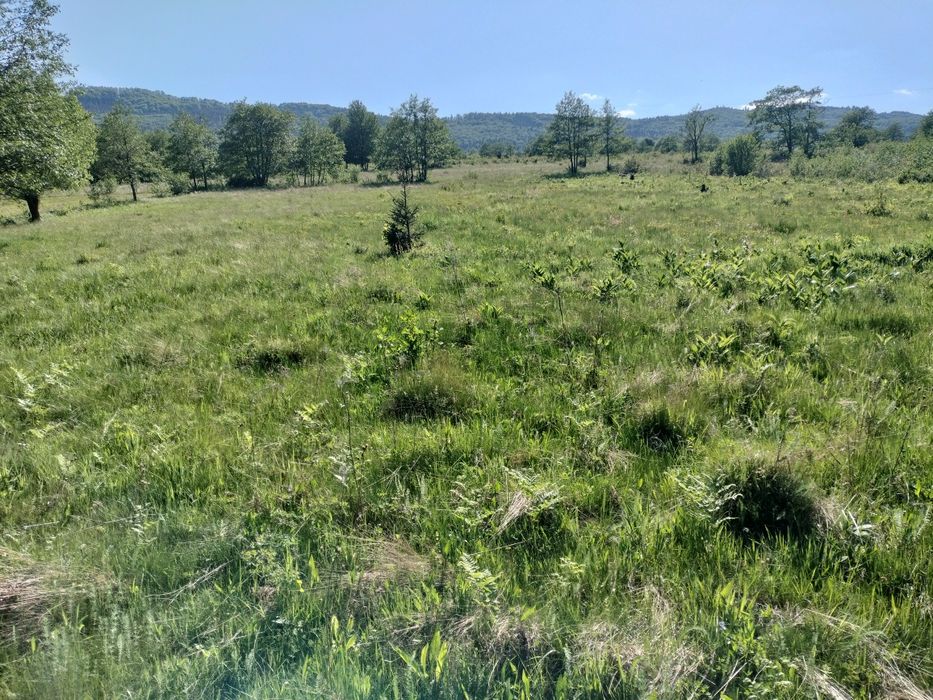 15000 euro 25 ari extravilan