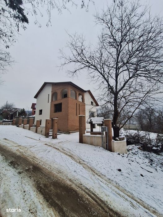 Casă deosebită Bujoreni