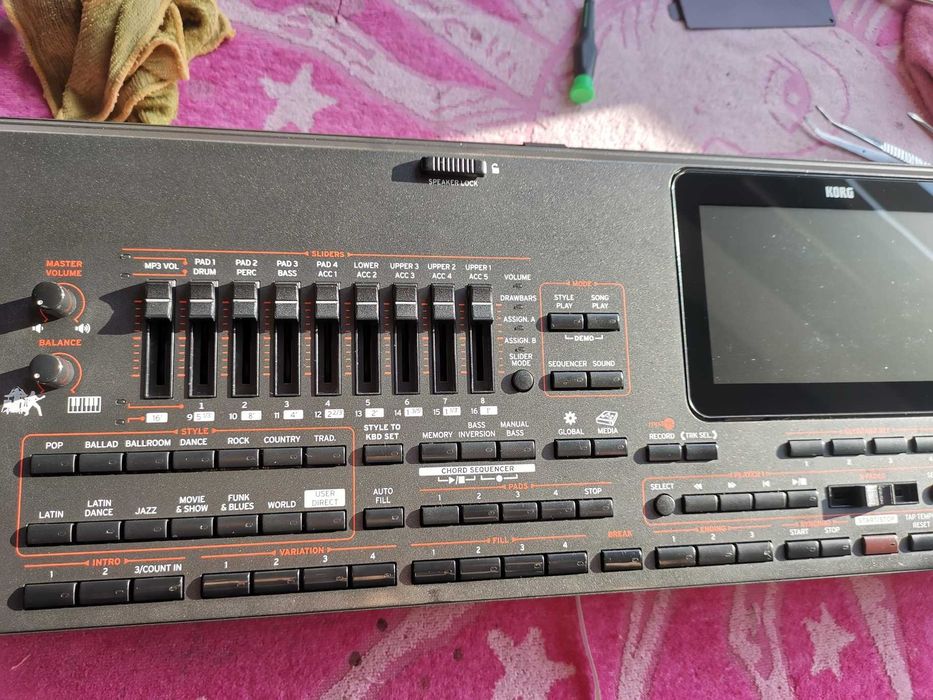 Estetizare, Igienizare Korg Pa