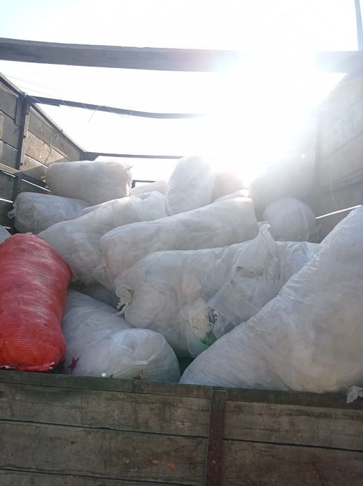 Принимаем макулатуры и бакалашкы пламас и алюминий банки.