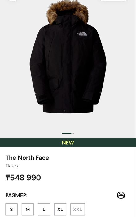 Пуховик The North Face McMurdo 2L Gore-Tex Parka
