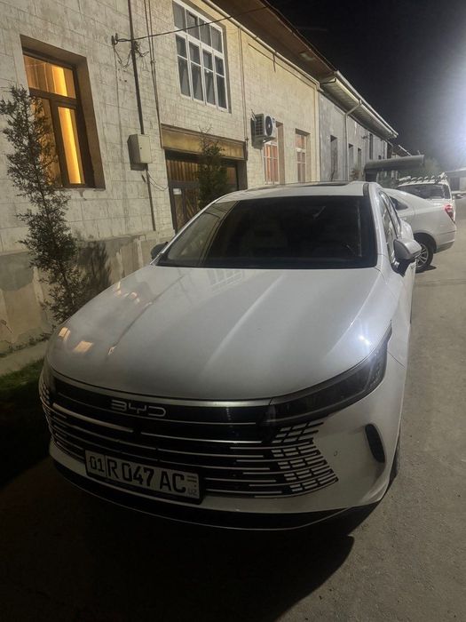 BYD  Chazor ……….