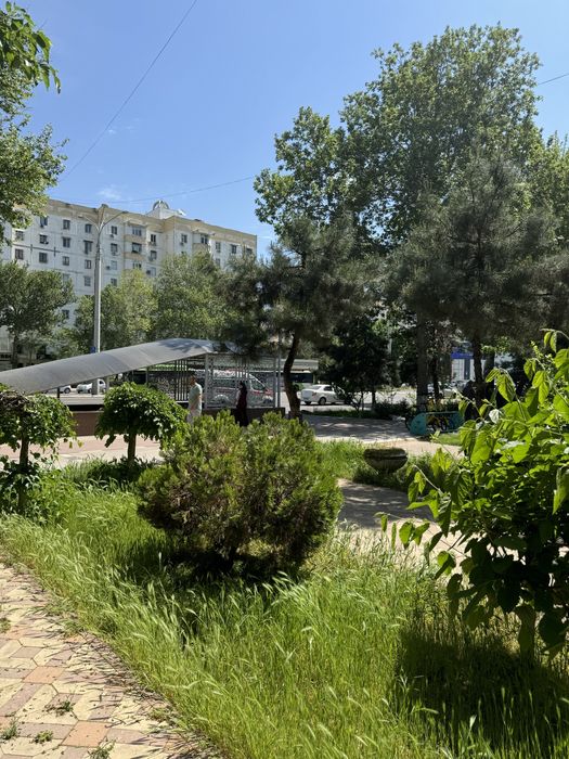 Сдается аренда помешение шахристанский метро