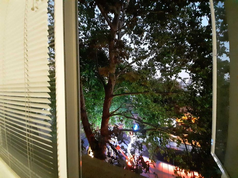 Дава се под наем Офис в Варна, Окръжна болница - 17 кв.м за 255 € - Снимка #2