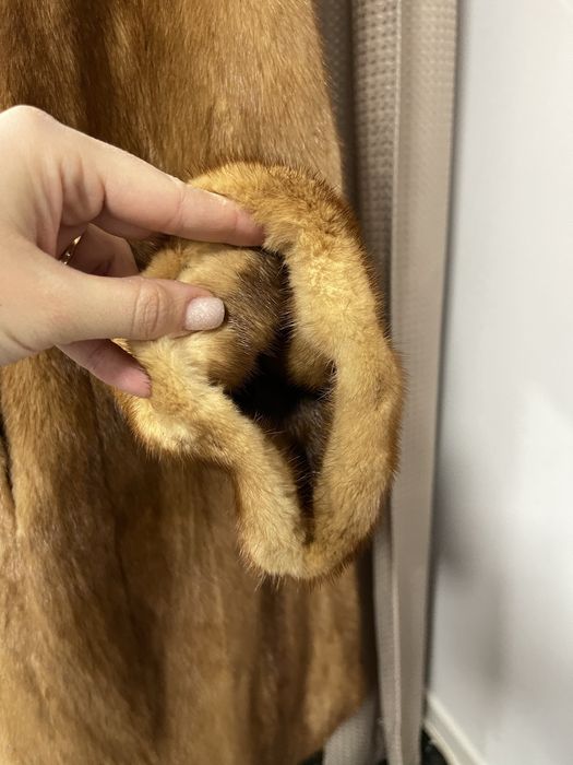 Vizon Mustela, SAGA MINK