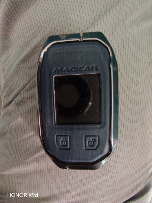 Жентра 2023 родной краска