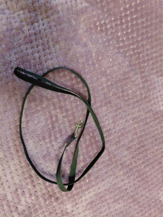 Подам поводок для собак