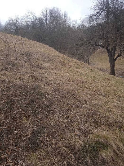 Продава се Земеделски имот в Рудозем -  кв.м за 9 €/дка - Снимка #1