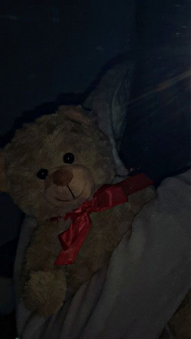 Мишка Teddy-милый подарок