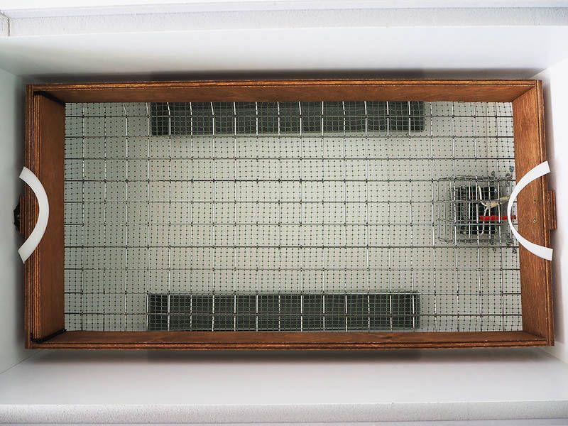 Инкубатор норма лупер с 10 гарантияси