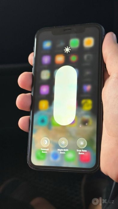 Iphone 11 radnoy
