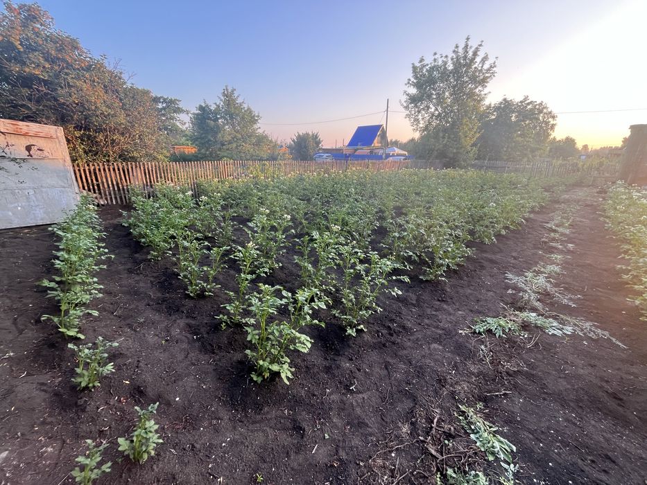 Продам дачу с/о ромашка 4,7 соток