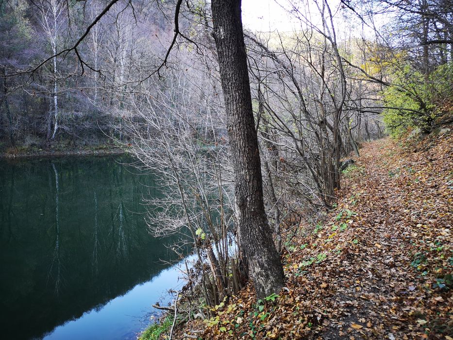 Продава се Парцел в с. Долни Пасарел, Област София-град - 603 кв.м за 140 €/кв.м - Снимка #5