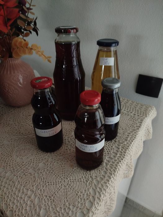 Lot siropuri făcute în casă