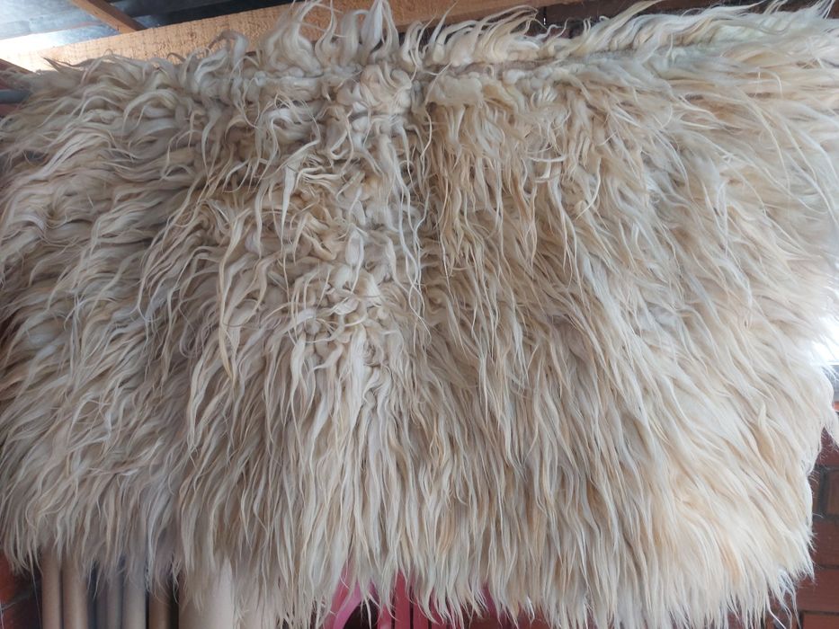 Родопски, ръчно тъкани китеници 5бр. Комплект за холова гарнитура!