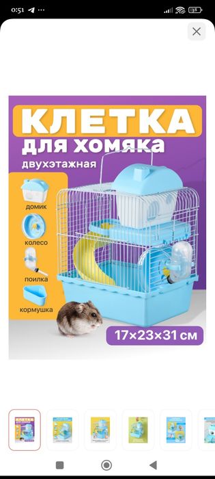 Хомяки продаются хорошей крови