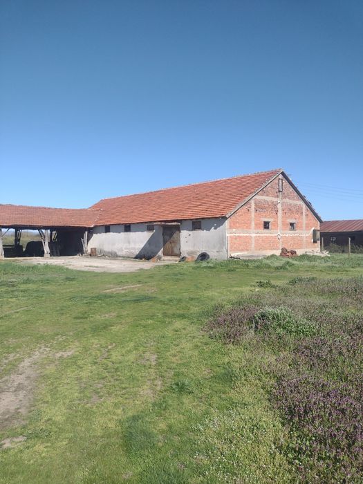 Продава се Склад в с. Бисер, Област Хасково - 5000 кв.м за 8 €/кв.м - Снимка #2