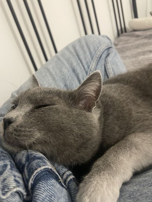 Stormi isi cauta casuta