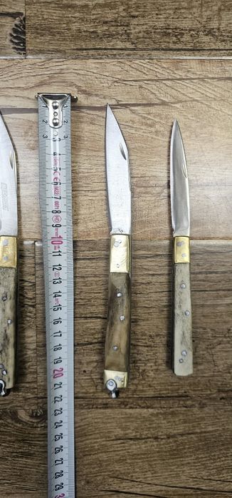 Bricege corn de cerb