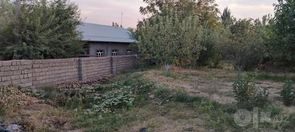 Кадастер дакументлари жойида