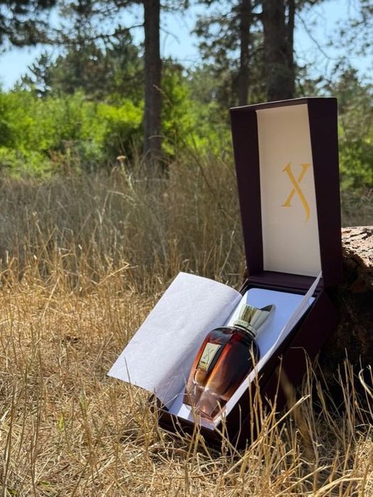 Xerjoff Alexandria II