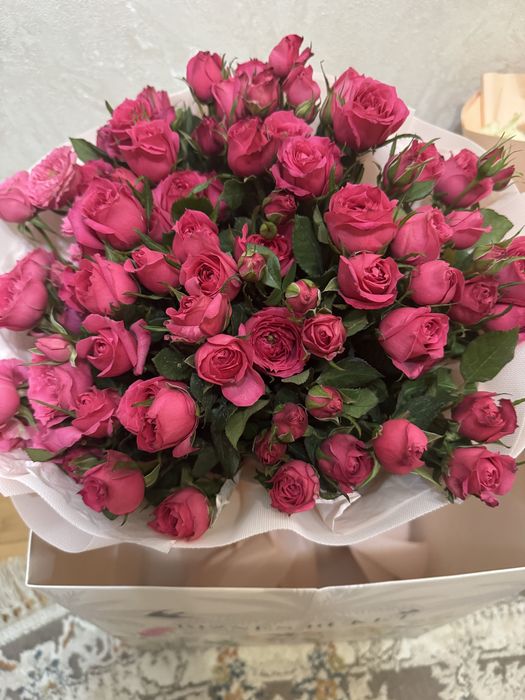 20.12 тунде келді свежый