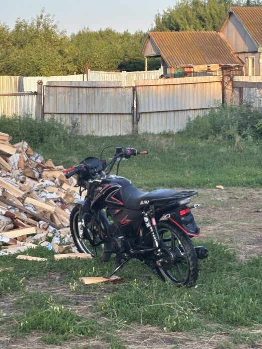 Альфа рс 12 чамп