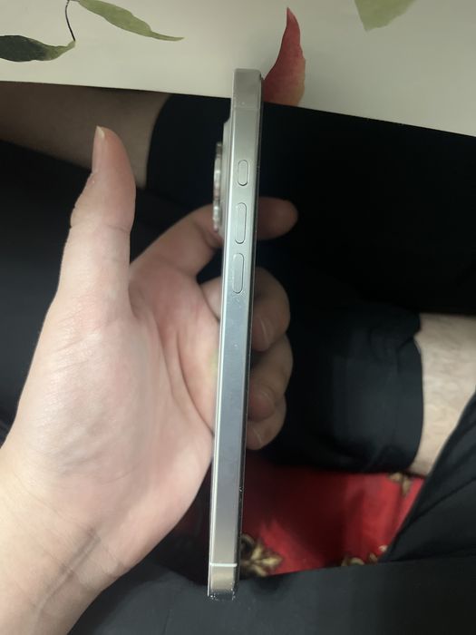 16про макс 256гб 100%аккум