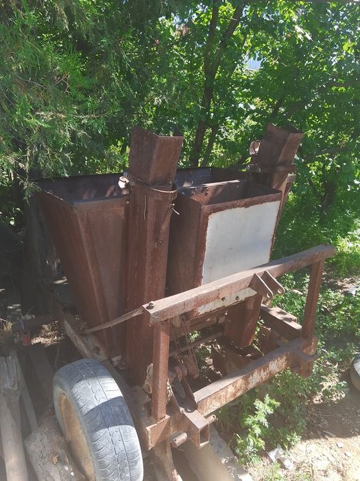 Картошка сажалка