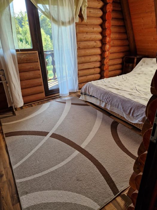 Cabana pe malul Tarcăului + 500 mp teren