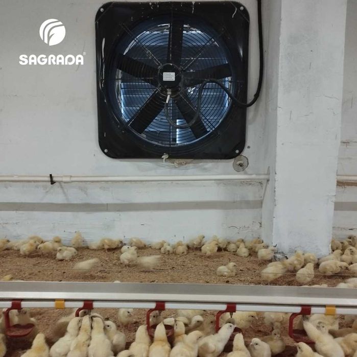 Вентиляция для бройлеров с автоматическим климат-контролем