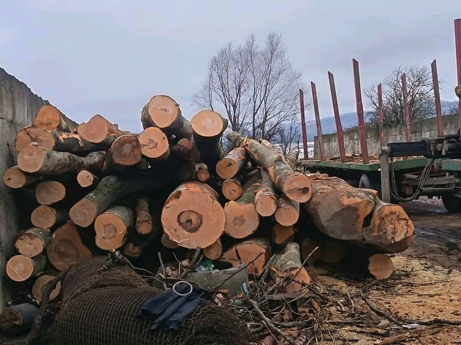 Lemne pentru foc esență tare