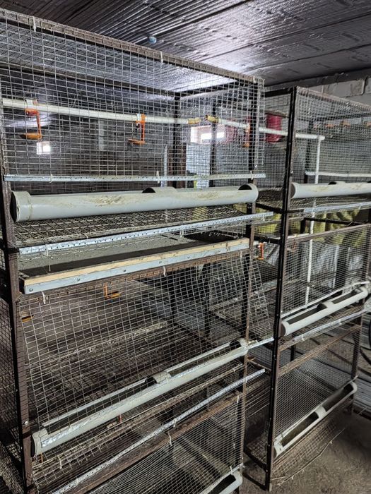 Клетки для кур / тауык клеткаси / парранда клеткаси