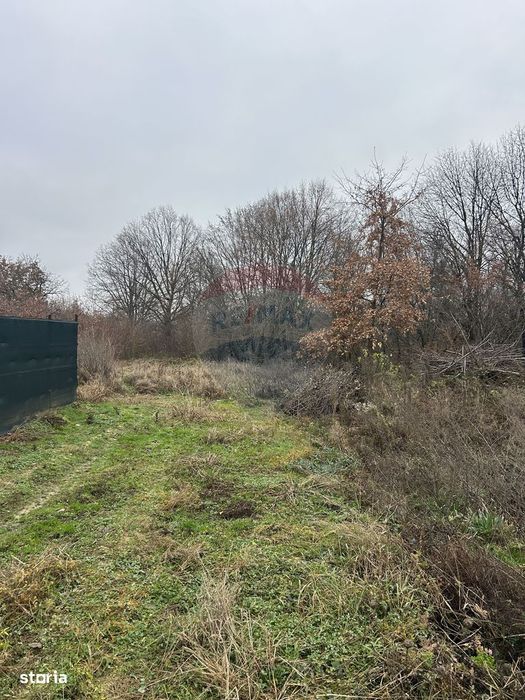 Teren 1,200mp si 400m2 cota drum Satu Nou de Jos / Strada Principala