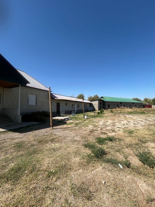 Дом с личным подсобным хозяйством