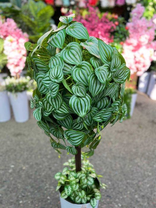 Дерево для фотозоны