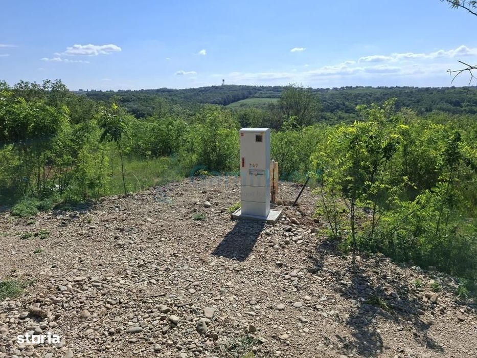 Teren intravilan de vanzare 9783 mp, in Paleu, Bihor, Gaminvest, V4749