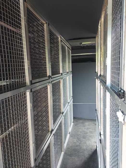 Echipez mașini transport câini