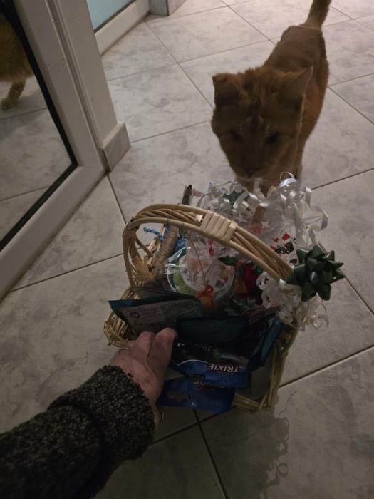 Персонални кошнички за любимци Vanq'sPetsBox