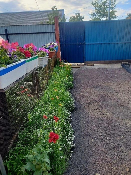 Продам дом-особняк