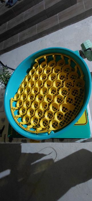 Incubator electric oua (clocitoare)