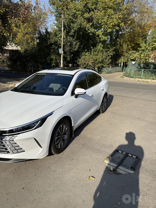 Byd Chazor 55Tali