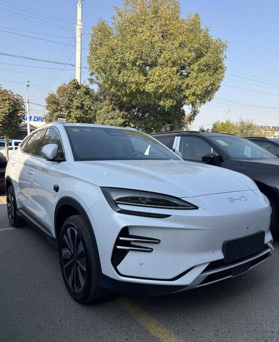 byd chempion elektr gbrit optom narx