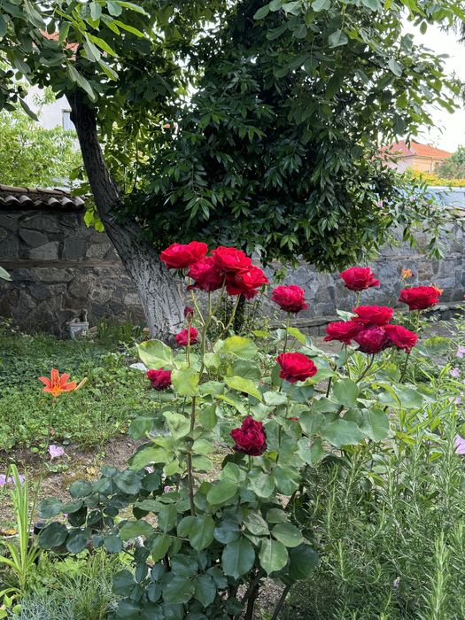 Къща за гости вила