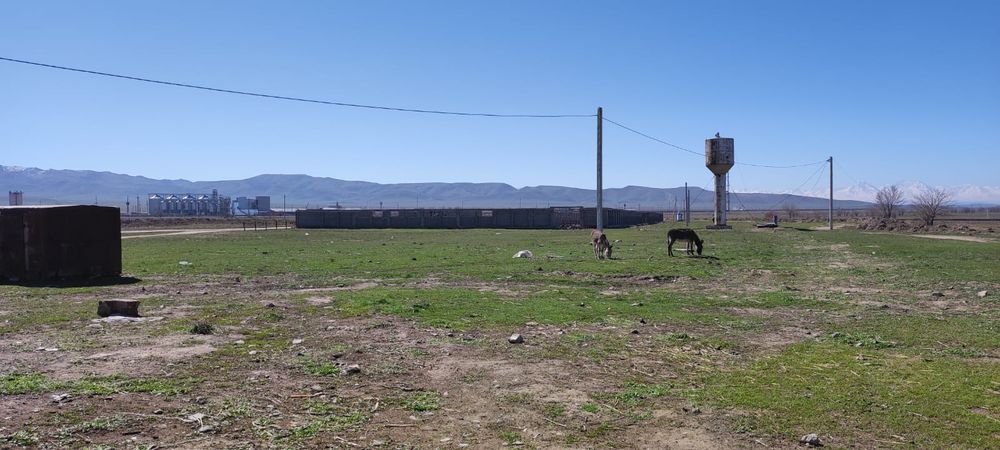 Фазенда с земельнцм участком